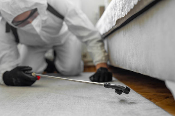 Professional Bed Bug Control technician working in Poulsbo, WA