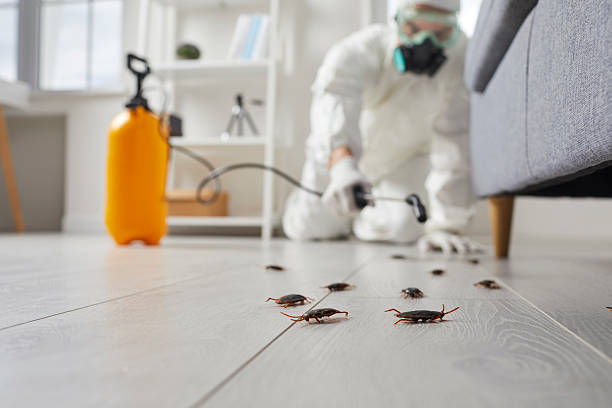 Trusted Termite Control service in Poulsbo, WA - Nex Pest Control