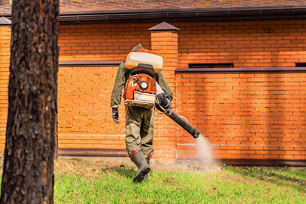 Trusted Mosquito Control service in Poulsbo, WA - Nex Pest Control